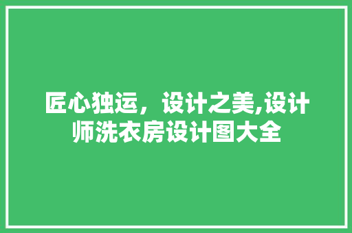 匠心独运，设计之美,设计师洗衣房设计图大全