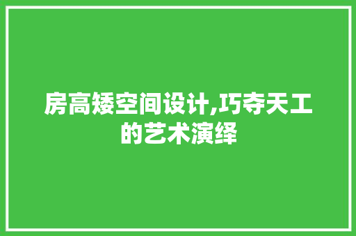 房高矮空间设计,巧夺天工的艺术演绎