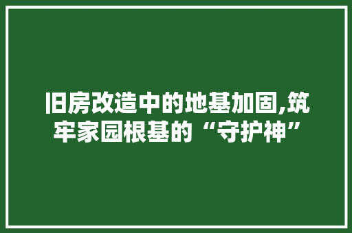 旧房改造中的地基加固,筑牢家园根基的“守护神”