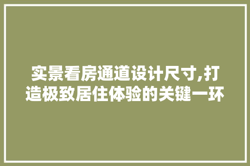 实景看房通道设计尺寸,打造极致居住体验的关键一环