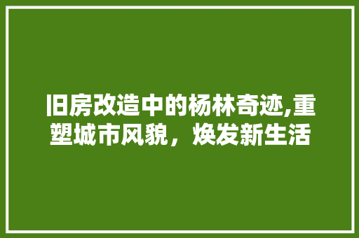 旧房改造中的杨林奇迹,重塑城市风貌，焕发新生活