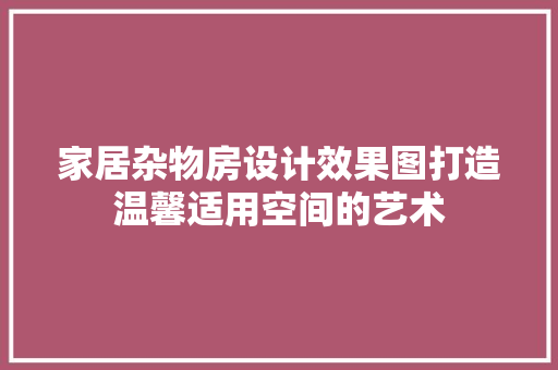 家居杂物房设计效果图打造温馨适用空间的艺术