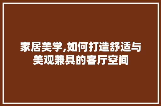家居美学,如何打造舒适与美观兼具的客厅空间