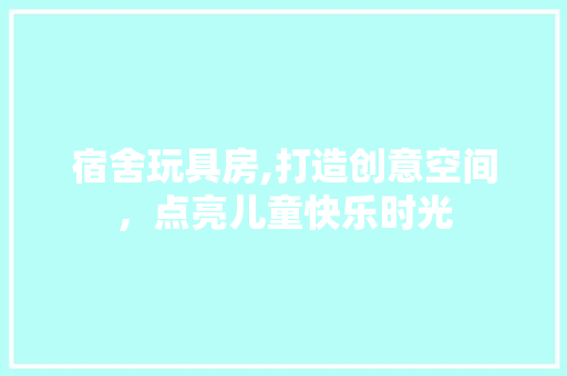 宿舍玩具房,打造创意空间，点亮儿童快乐时光