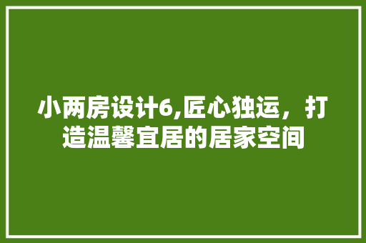 小两房设计6,匠心独运，打造温馨宜居的居家空间