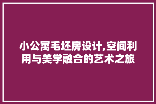 小公寓毛坯房设计,空间利用与美学融合的艺术之旅
