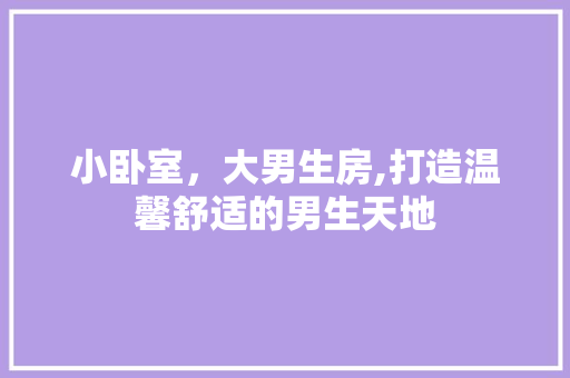 小卧室，大男生房,打造温馨舒适的男生天地