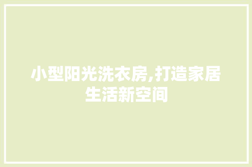 小型阳光洗衣房,打造家居生活新空间