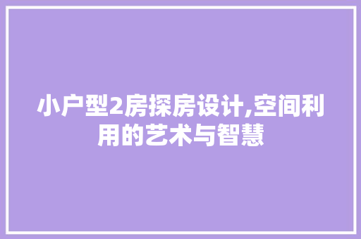 小户型2房探房设计,空间利用的艺术与智慧