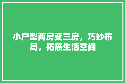 小户型两房变三房，巧妙布局，拓展生活空间