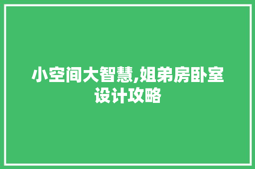 小空间大智慧,姐弟房卧室设计攻略