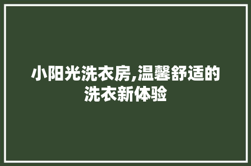 小阳光洗衣房,温馨舒适的洗衣新体验