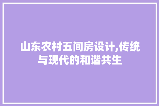 山东农村五间房设计,传统与现代的和谐共生