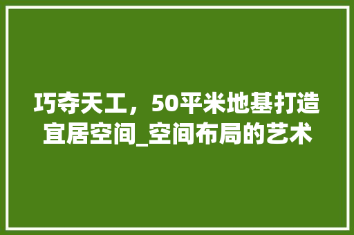 巧夺天工，50平米地基打造宜居空间_空间布局的艺术