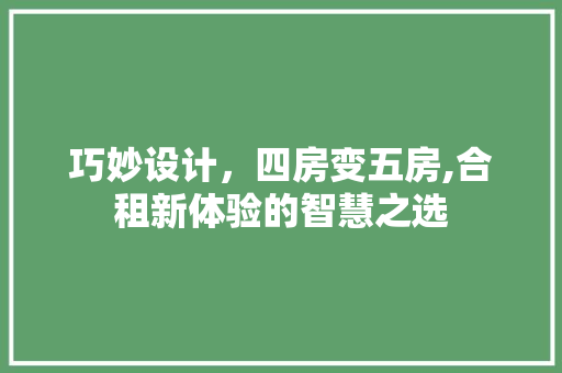 巧妙设计，四房变五房,合租新体验的智慧之选