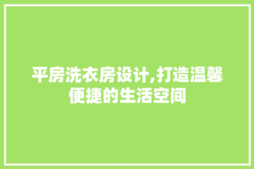 平房洗衣房设计,打造温馨便捷的生活空间