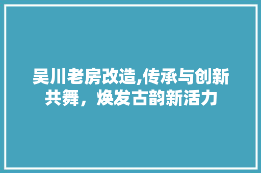 吴川老房改造,传承与创新共舞，焕发古韵新活力