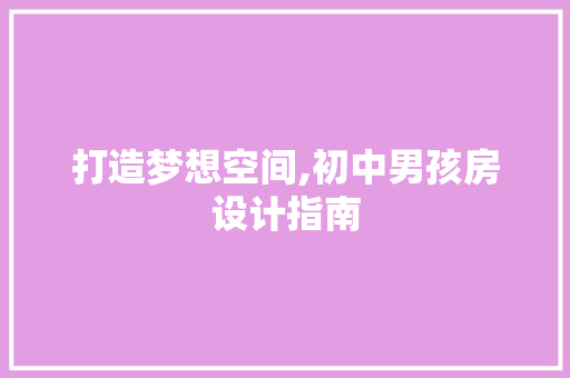 打造梦想空间,初中男孩房设计指南