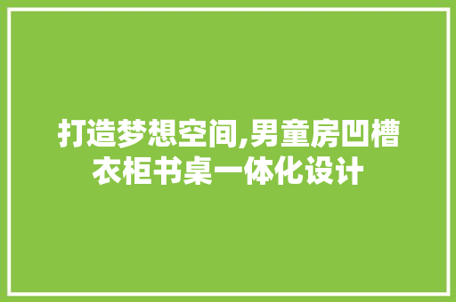 打造梦想空间,男童房凹槽衣柜书桌一体化设计