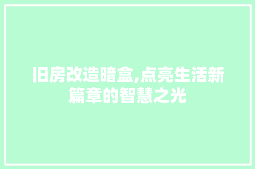 旧房改造暗盒,点亮生活新篇章的智慧之光