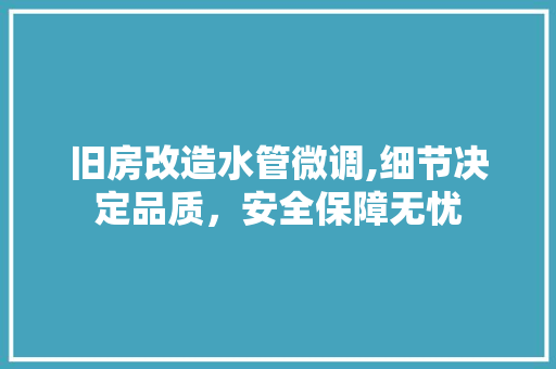 旧房改造水管微调,细节决定品质，安全保障无忧