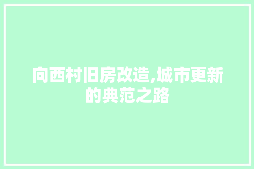 向西村旧房改造,城市更新的典范之路