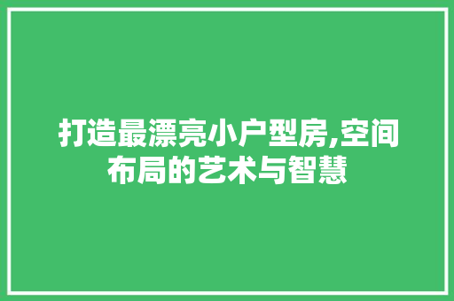 打造最漂亮小户型房,空间布局的艺术与智慧