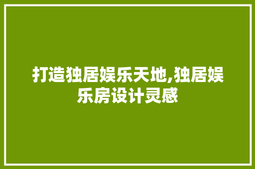 打造独居娱乐天地,独居娱乐房设计灵感