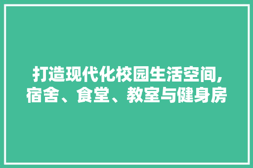 打造现代化校园生活空间,宿舍、食堂、教室与健身房的综合布局讨论