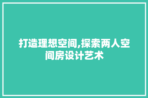 打造理想空间,探索两人空间房设计艺术
