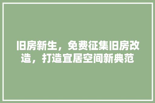 旧房新生，免费征集旧房改造，打造宜居空间新典范