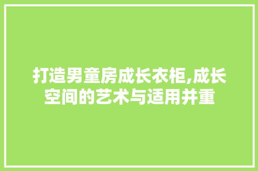 打造男童房成长衣柜,成长空间的艺术与适用并重