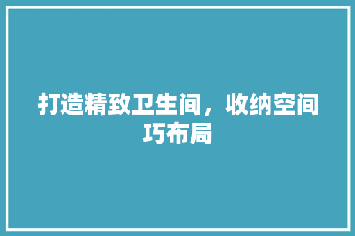 打造精致卫生间，收纳空间巧布局