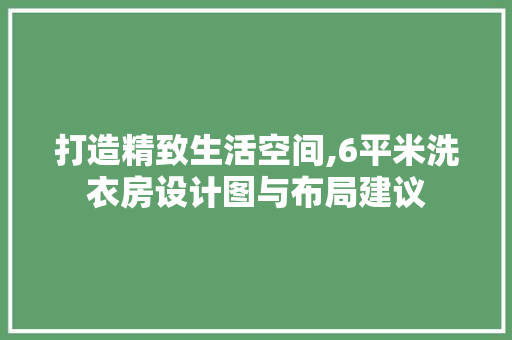 打造精致生活空间,6平米洗衣房设计图与布局建议