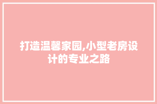 打造温馨家园,小型老房设计的专业之路
