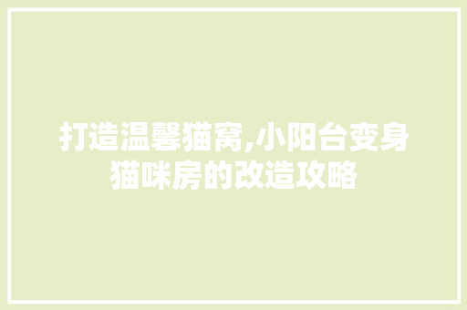 打造温馨猫窝,小阳台变身猫咪房的改造攻略