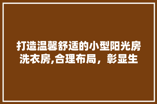 打造温馨舒适的小型阳光房洗衣房,合理布局，彰显生活品质