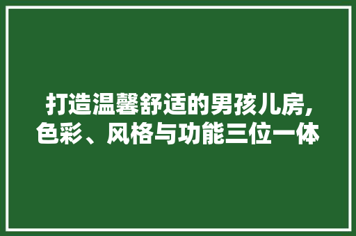 打造温馨舒适的男孩儿房,色彩、风格与功能三位一体