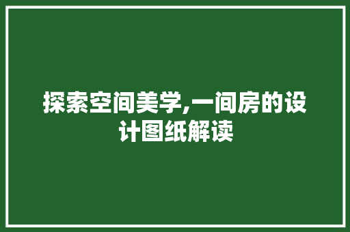 探索空间美学,一间房的设计图纸解读