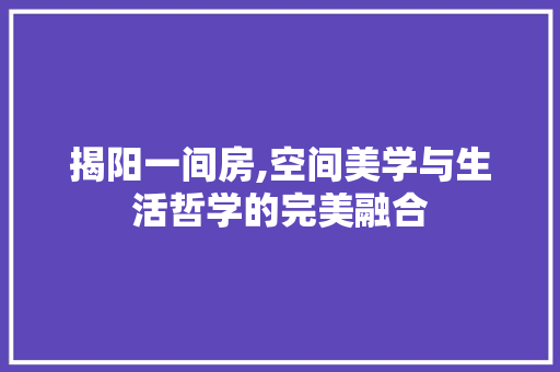 揭阳一间房,空间美学与生活哲学的完美融合