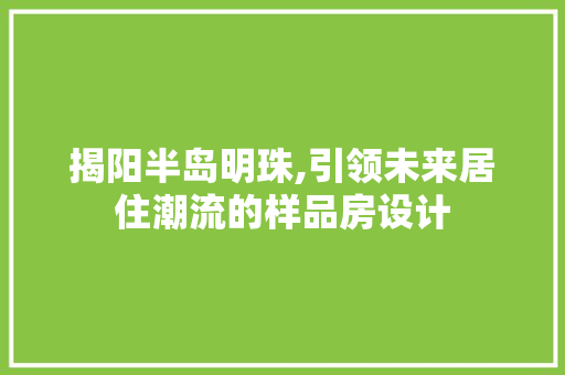 揭阳半岛明珠,引领未来居住潮流的样品房设计
