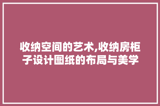 收纳空间的艺术,收纳房柜子设计图纸的布局与美学