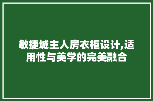 敏捷城主人房衣柜设计,适用性与美学的完美融合