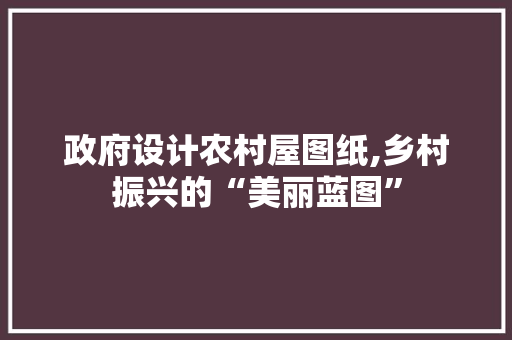 政府设计农村屋图纸,乡村振兴的“美丽蓝图”