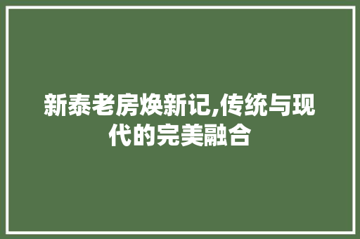 新泰老房焕新记,传统与现代的完美融合