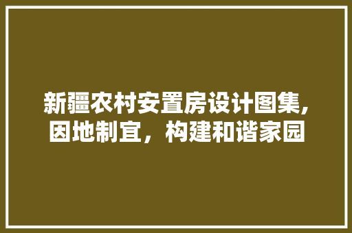 新疆农村安置房设计图集,因地制宜，构建和谐家园