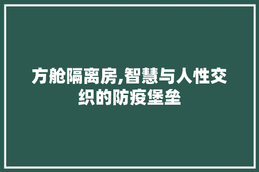 方舱隔离房,智慧与人性交织的防疫堡垒