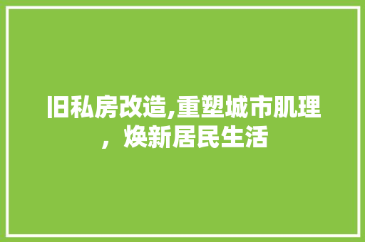旧私房改造,重塑城市肌理，焕新居民生活