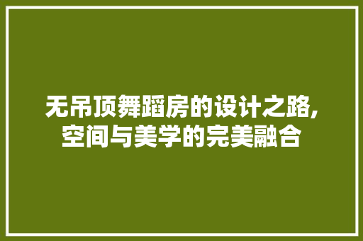 无吊顶舞蹈房的设计之路,空间与美学的完美融合