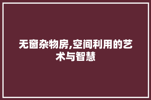 无窗杂物房,空间利用的艺术与智慧